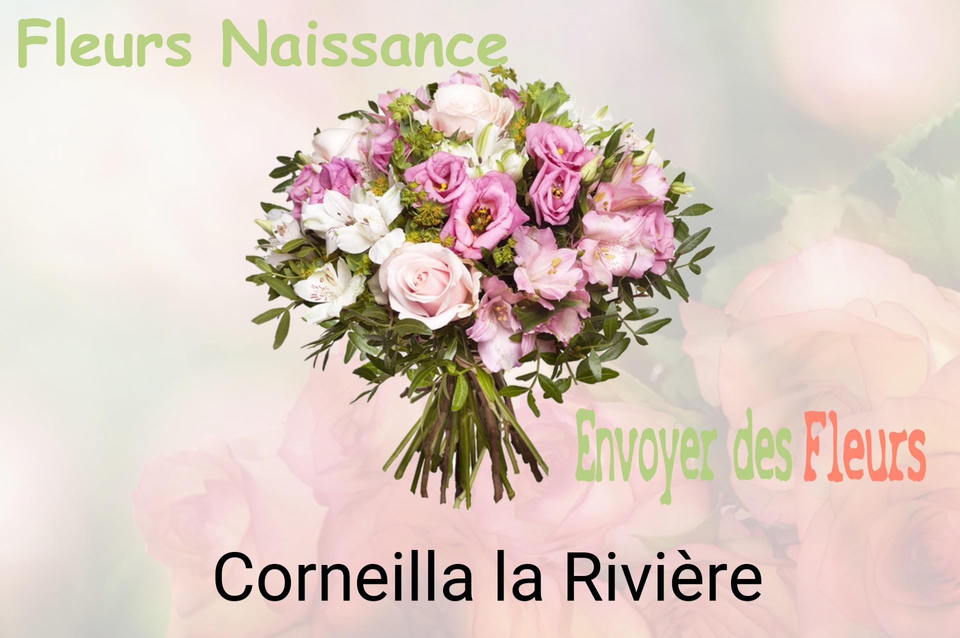 Bouquet de fleurs de naissance livré à Corneilla-la-Rivière